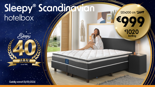 Sleepy Scandinavian Hotelbox